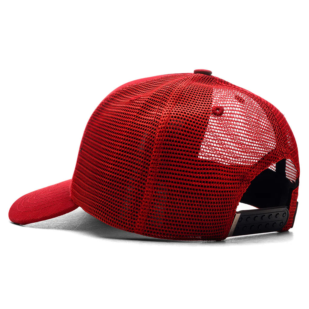 AM STAR TRUCKER